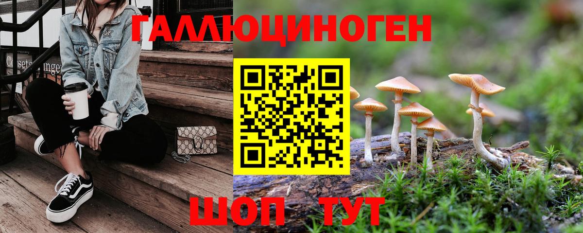 Красноармейск  наркотики  Псилоцибиновые грибы мицелий  Вход с VPN  Галлюциногенные грибы мицелий 