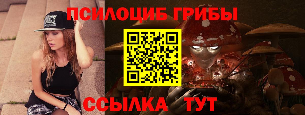 Псилоцибиновые грибы Psilocybine cubensis Красноармейск