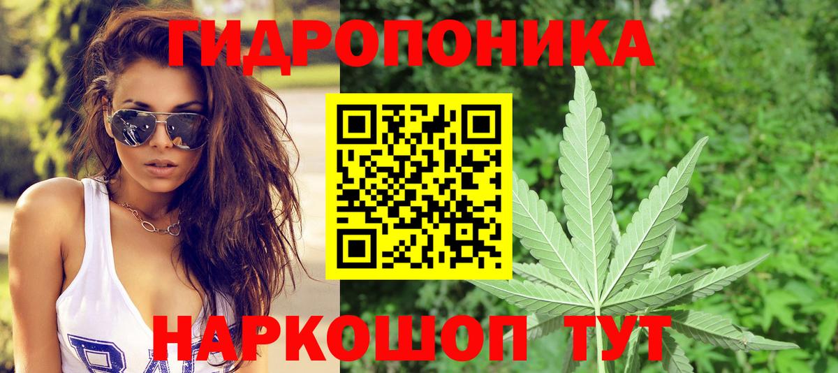 Красноармейск  Конопля сатива  Бошки Шишки сатива  Шишки марихуана конопля  Вход с VPN 